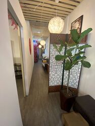 Outram Loft (D3), Shop House #489621661